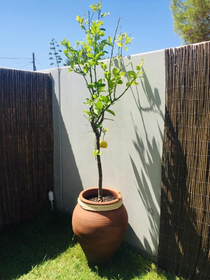 Los Tilos Alcossebre Kültér fotó